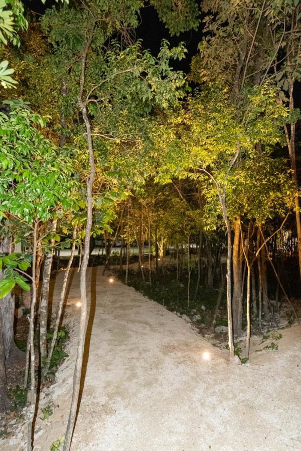 Residencial Selvanova Viii *